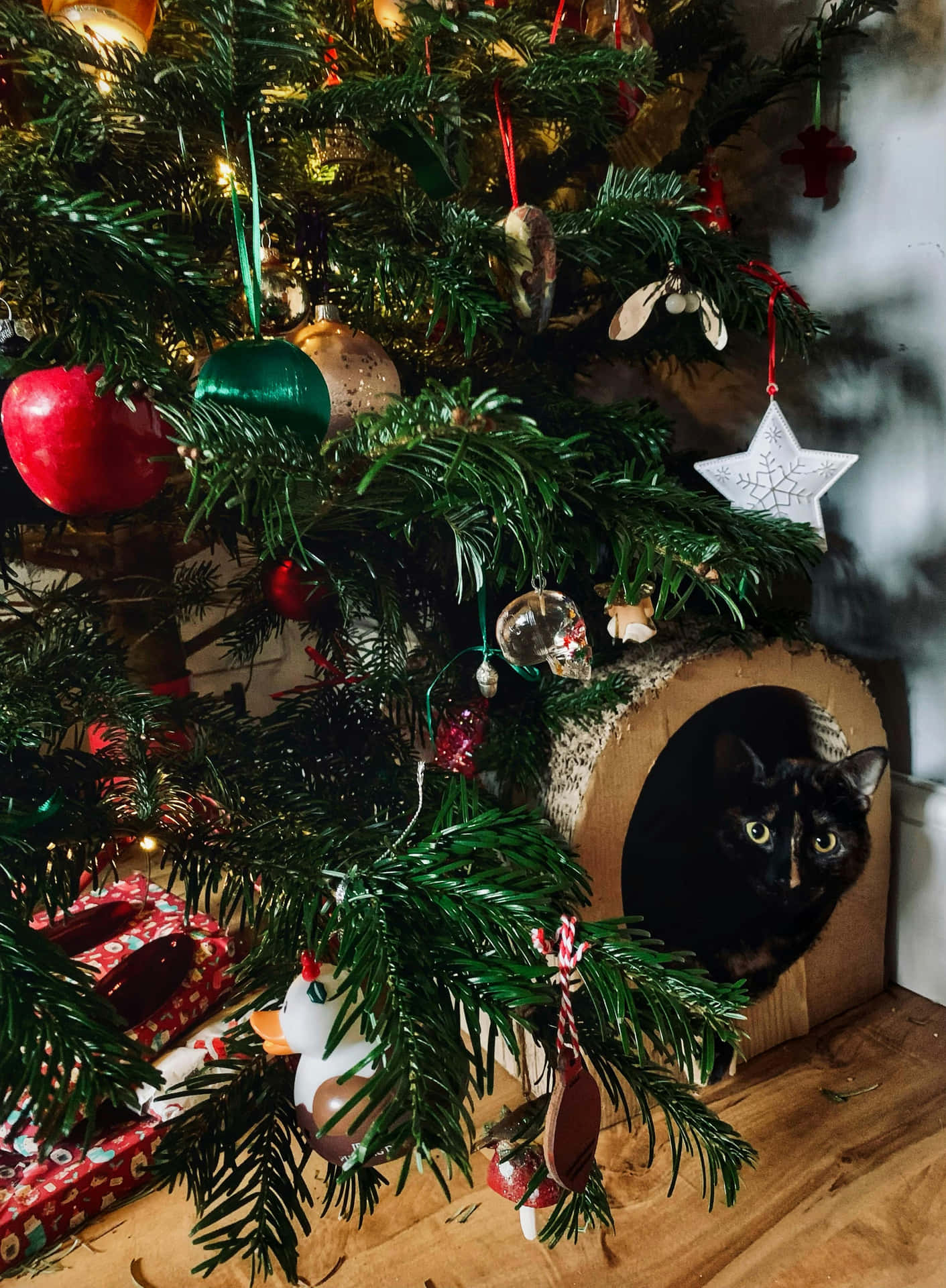 Festive Cat Under Christmas Tree.jpg Wallpaper