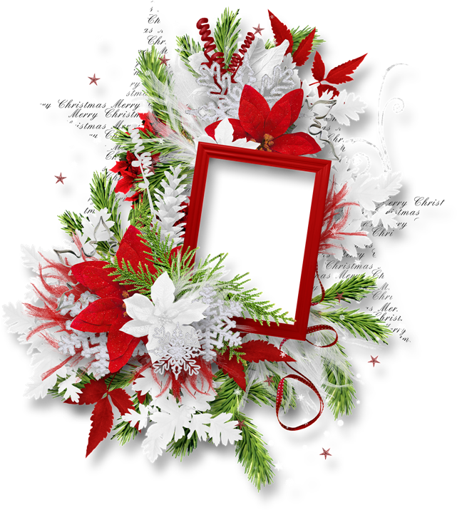 Festive Christmas Floral Frame PNG