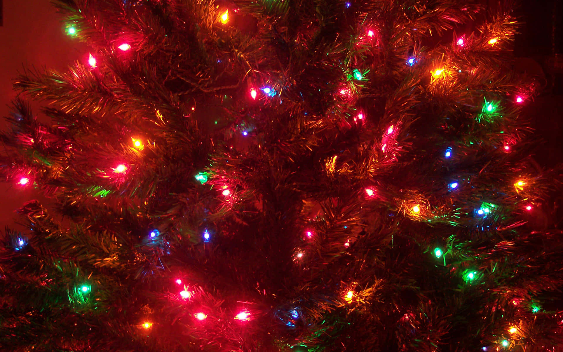 Festive_ Christmas_ Tree_ Lights.jpg Wallpaper