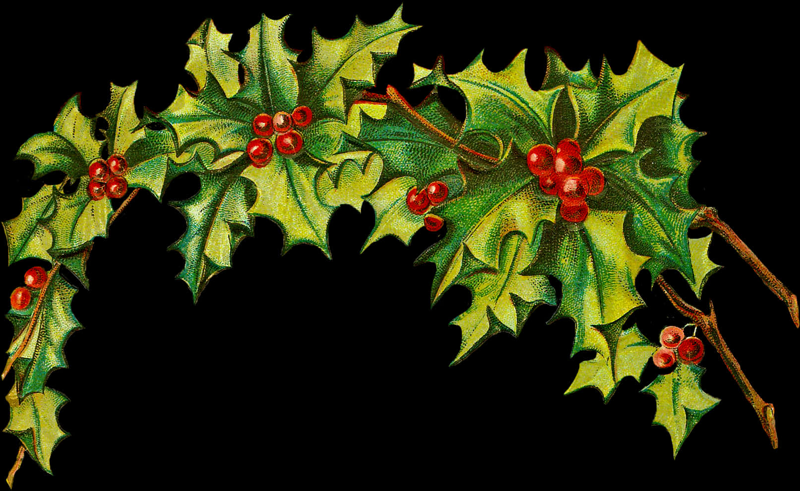 Festive Holly Border Design PNG