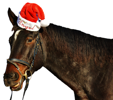Festive Horse Wearing Santa Hat PNG