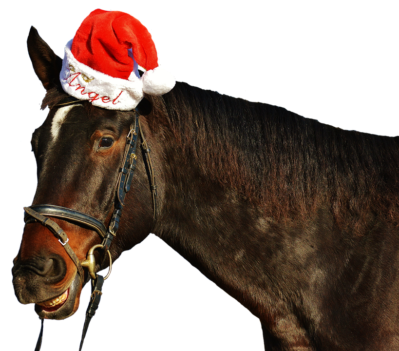 Festive Horsewith Santa Hat PNG