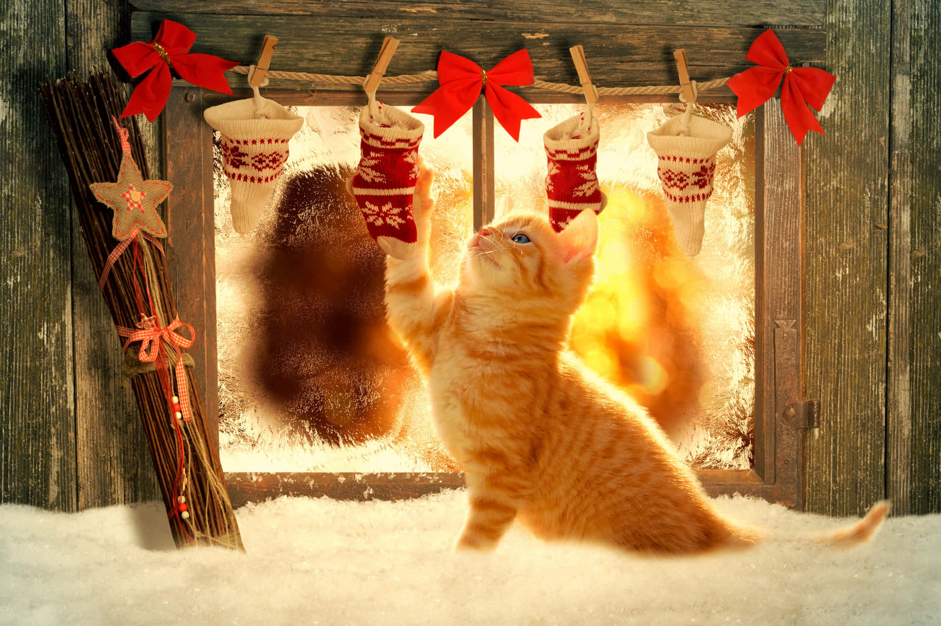 Festive Kitten Christmas Stockings Winter Scene.jpg Wallpaper