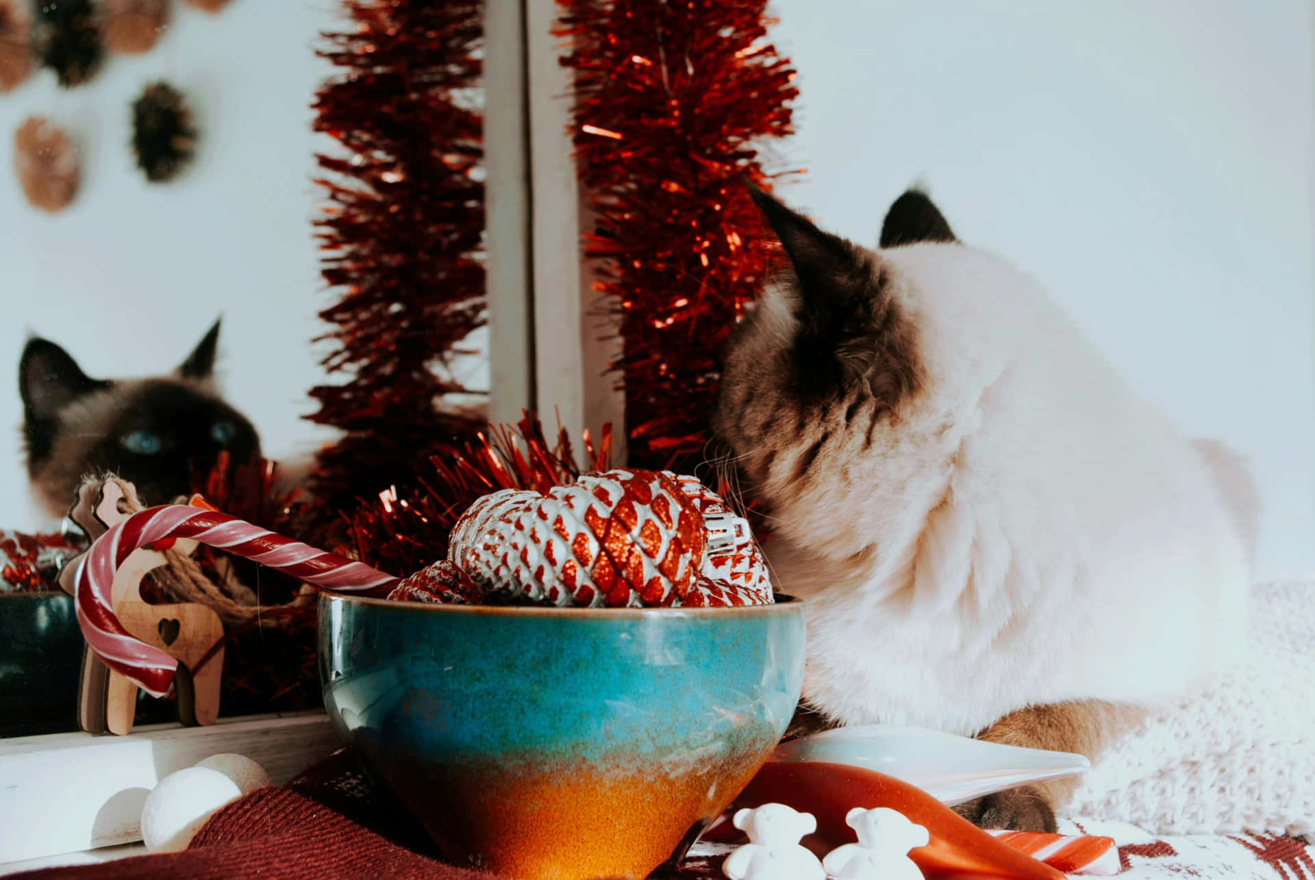 Festive Kitty Christmas Decorations Wallpaper
