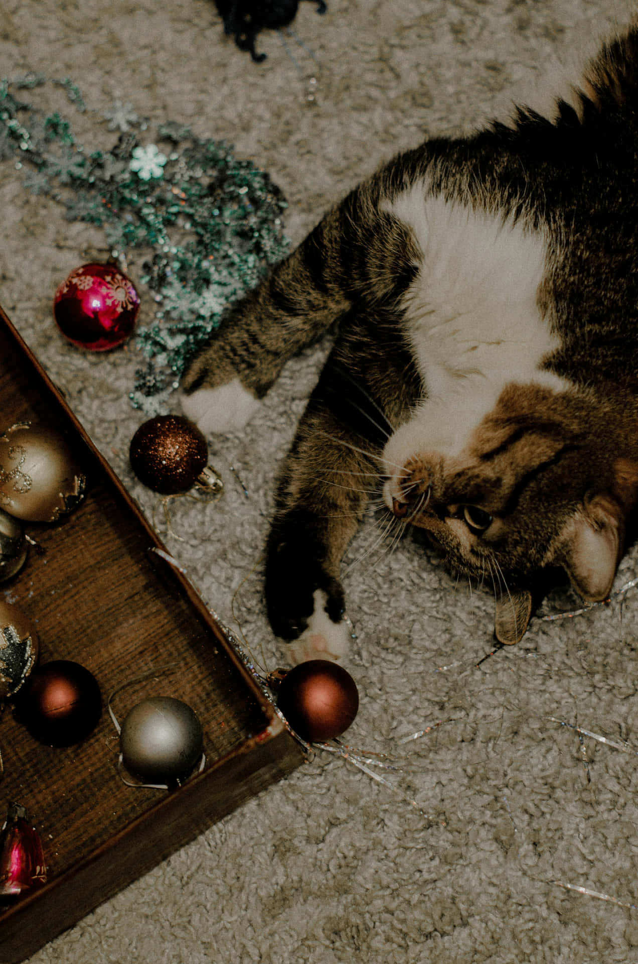 Festive Tabby Cat Among Christmas Decorations Wallpaper