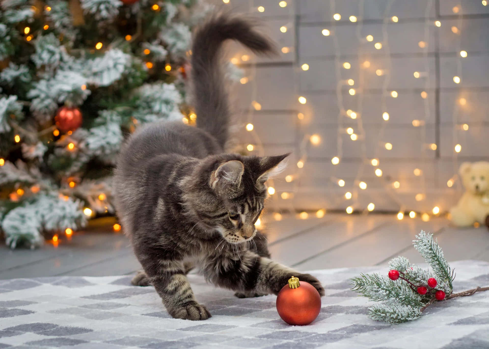 Festive Tabby Cat With Christmas Ornament Wallpaper
