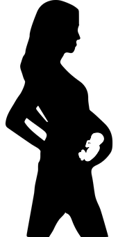 Fetal Silhouetteon Black Background PNG