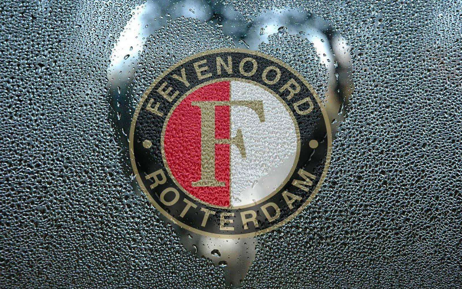 Celebrating Feyenoord's success Wallpaper