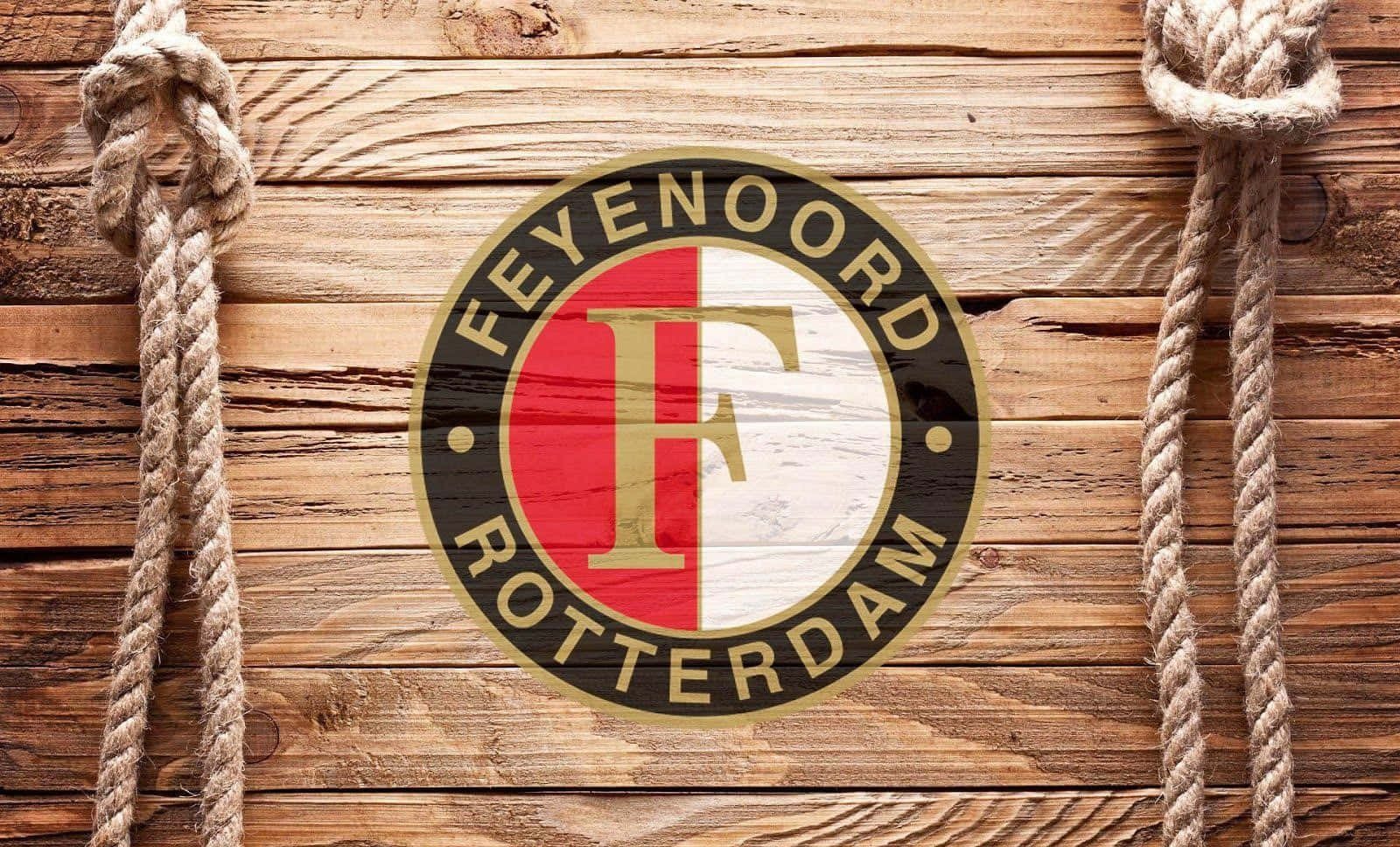 Proud Feyenoord Fans Wallpaper