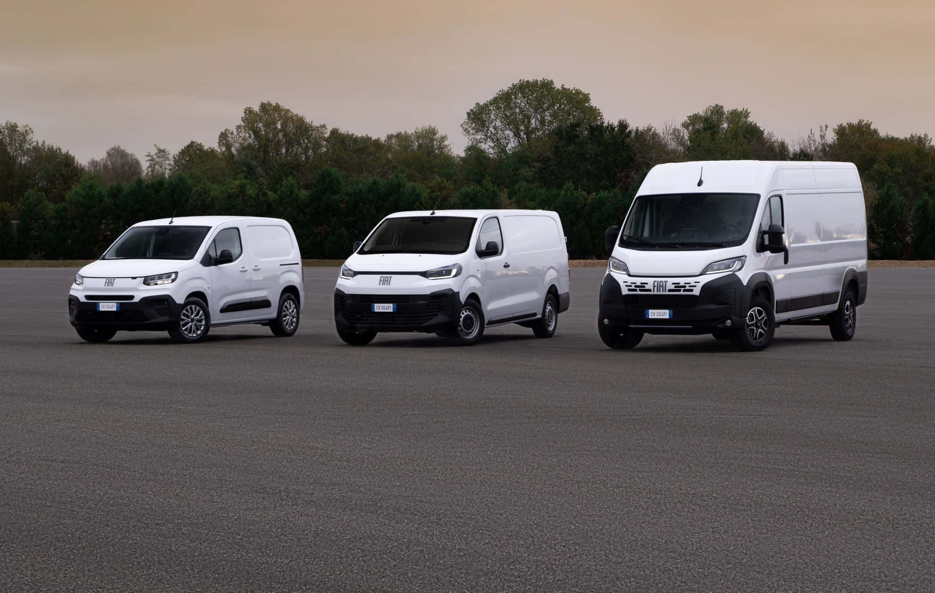 Fiat Ducato Van Line-up Achtergrond