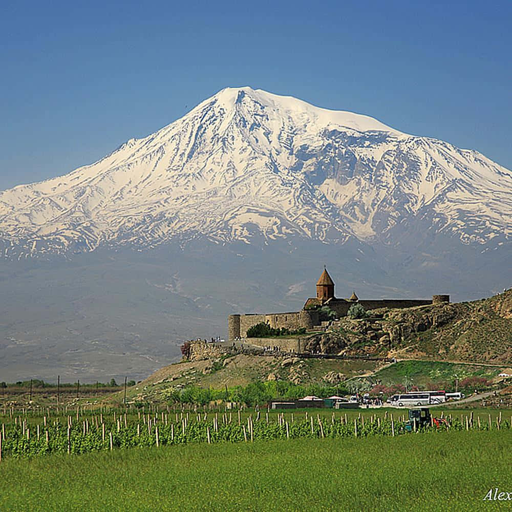 Mark med Khor Virap og Vulkan i Armenien Wallpaper