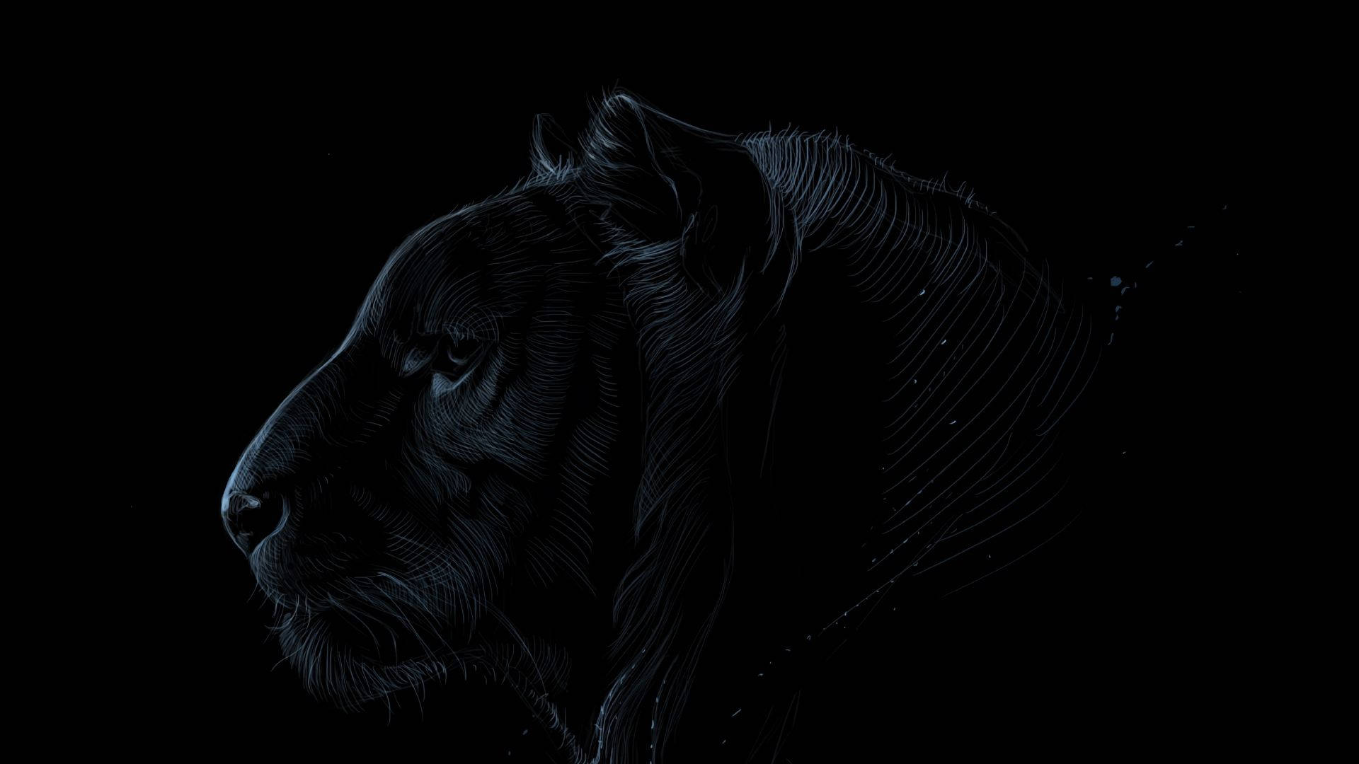 Fierce Black Lion Profile Wallpaper
