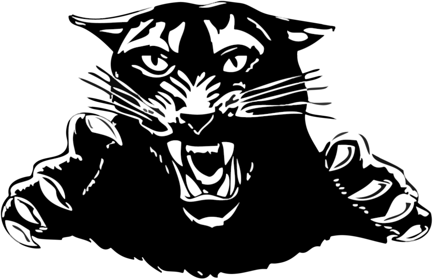 Fierce Black Panther Graphic PNG