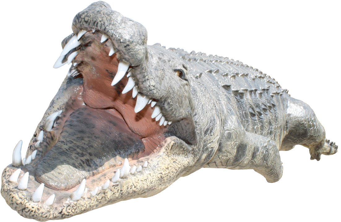 Fierce Crocodile Open Mouth PNG