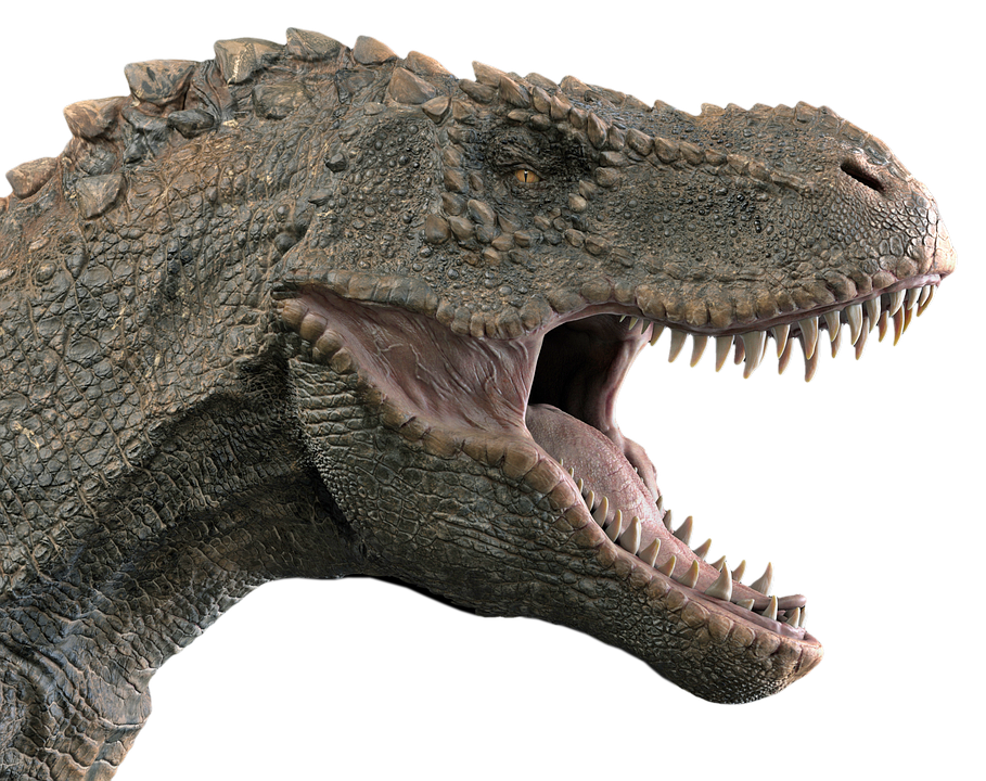 Fierce Dinosaur Head Profile PNG