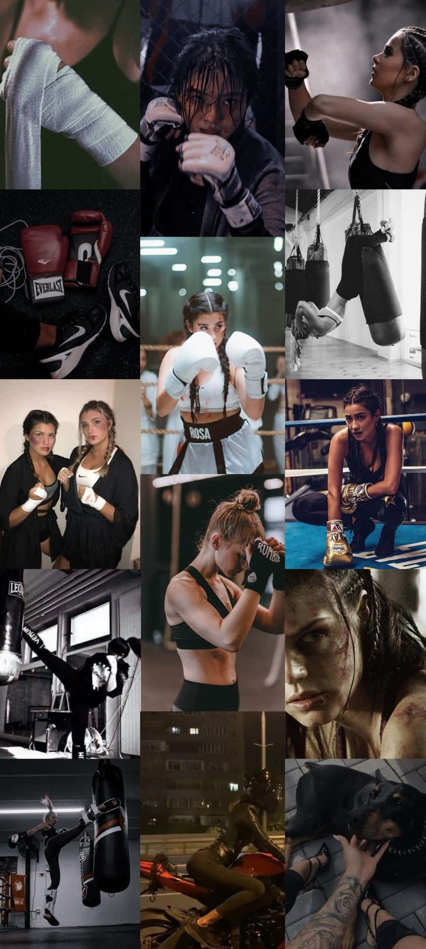 Fierce Female Boxers Collage Wallpaper
