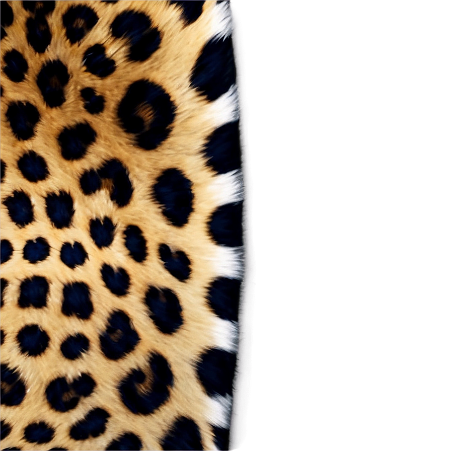 Fierce Leopard Print Png 06252024 PNG