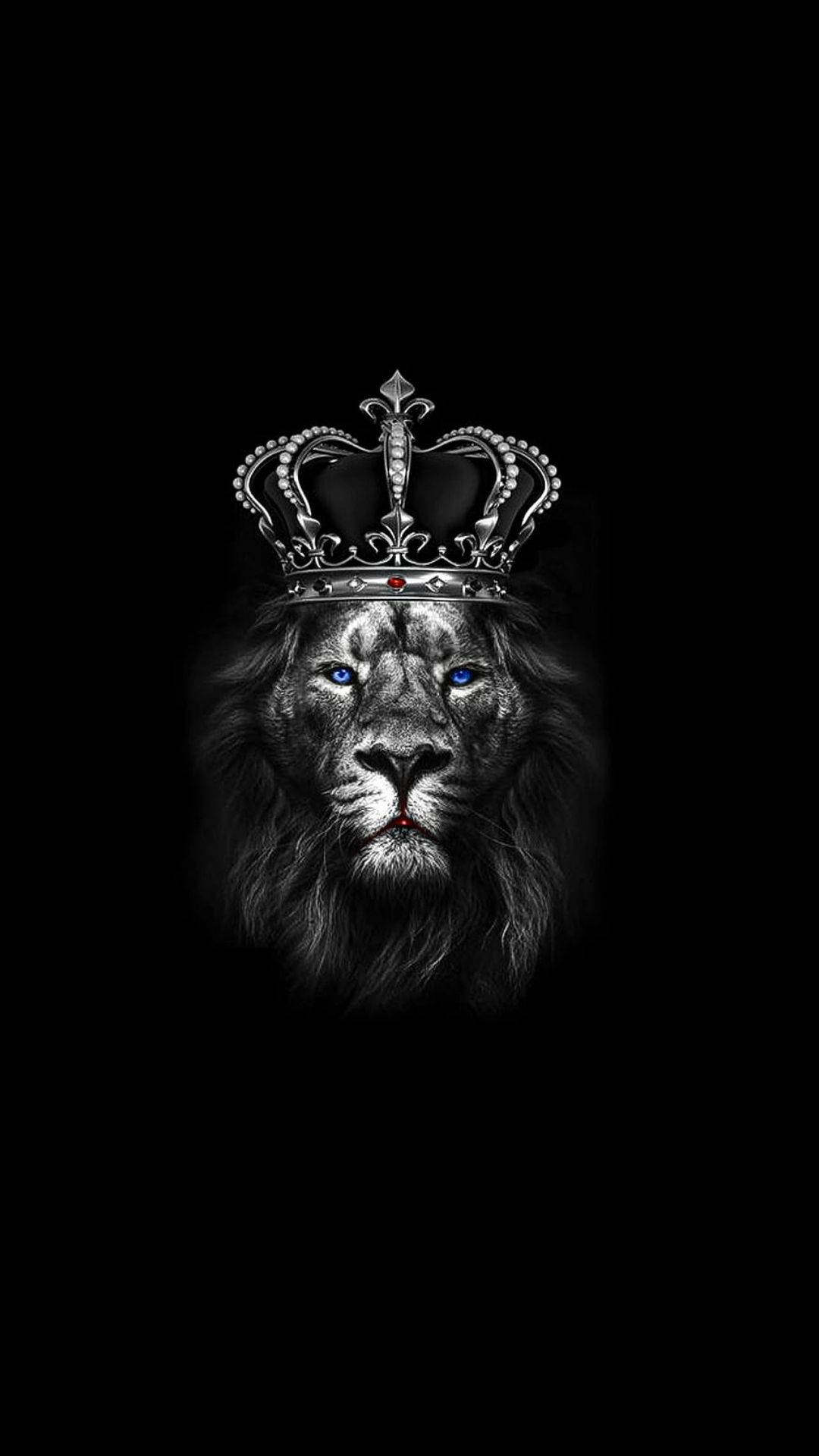 Fierce Lion King Wallpaper