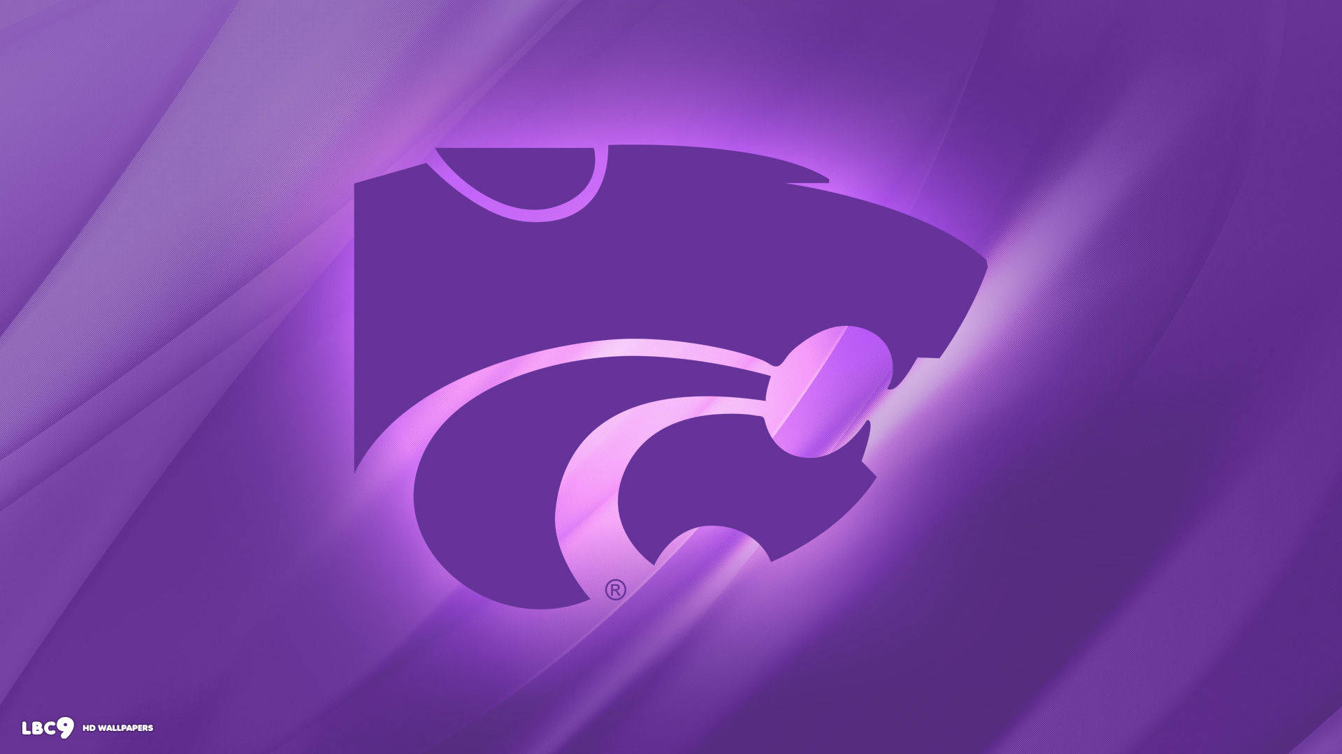 Fierce Northwestern University Wildcats Logo Wallpaper