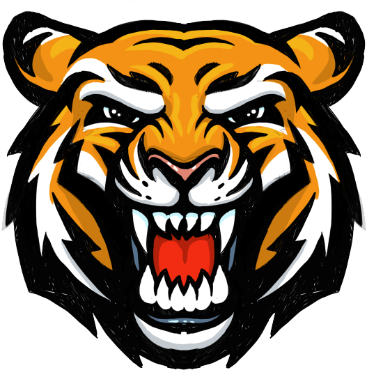 Fierce Tiger Head Illustration PNG