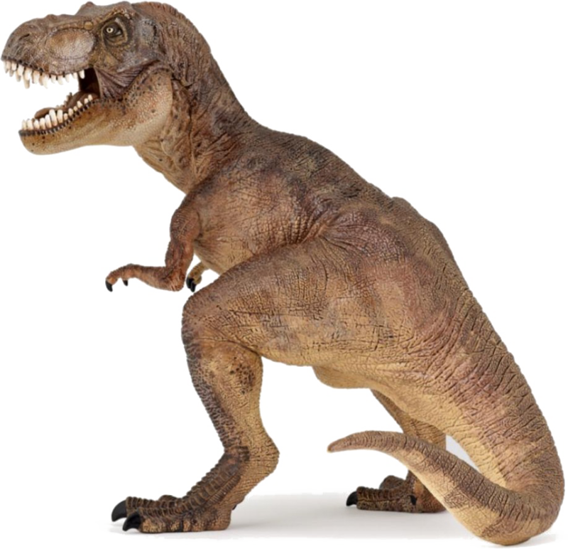 Fierce Tyrannosaurus Rex P N G PNG