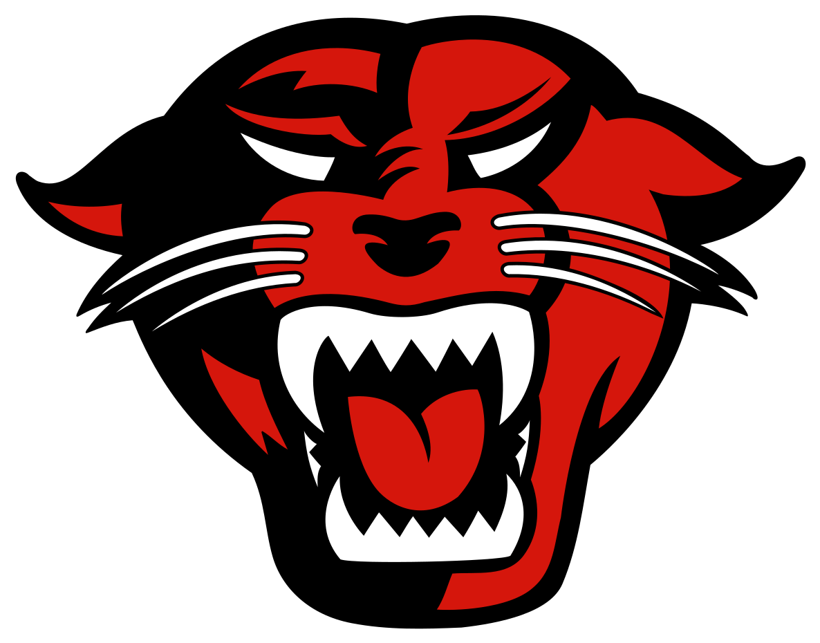 Fierce_ Panther_ Football_ Logo PNG