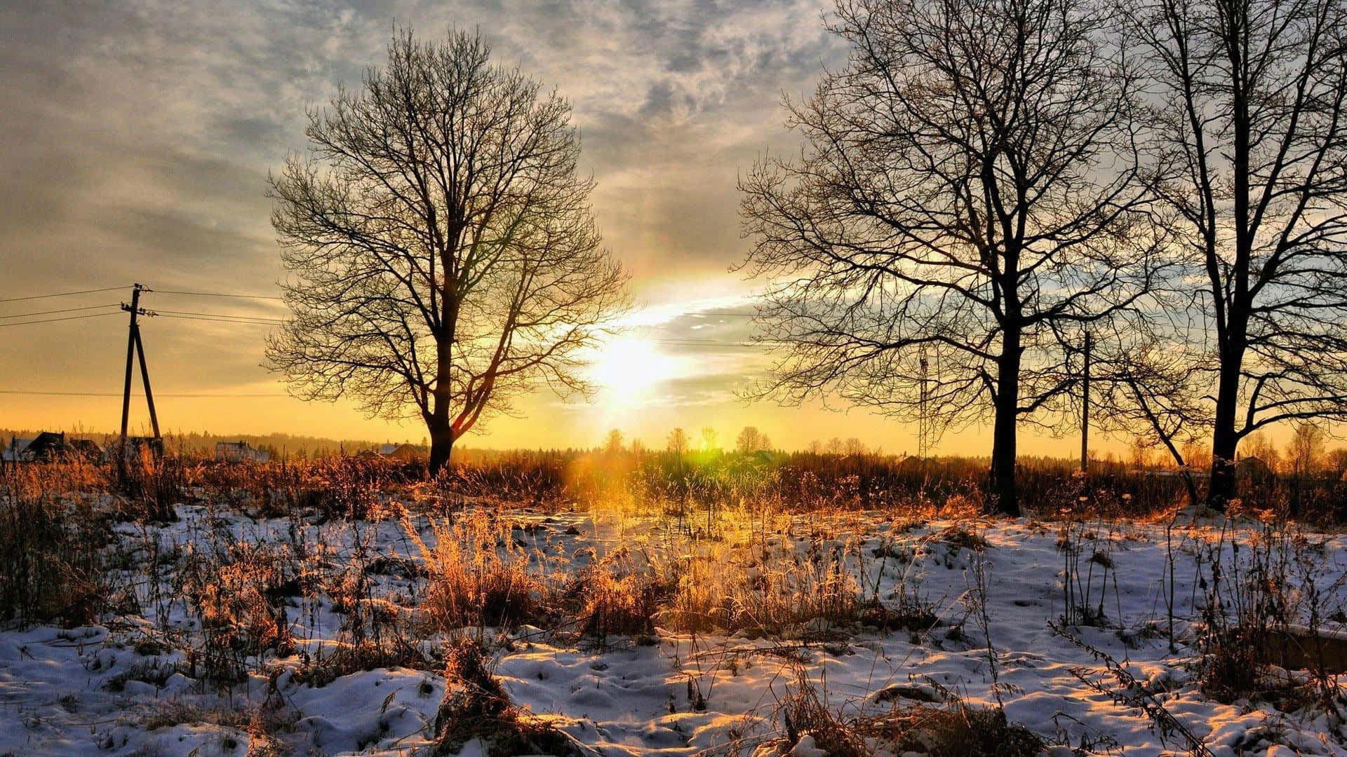 Lysupp Nattens Himmel Med En Eldig Bakgrund.