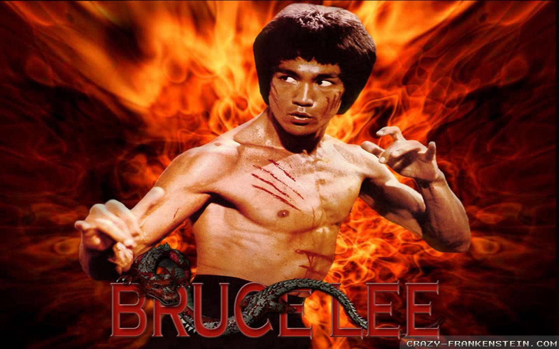 Fiery Bruce Lee And Dragon Art wallpaper