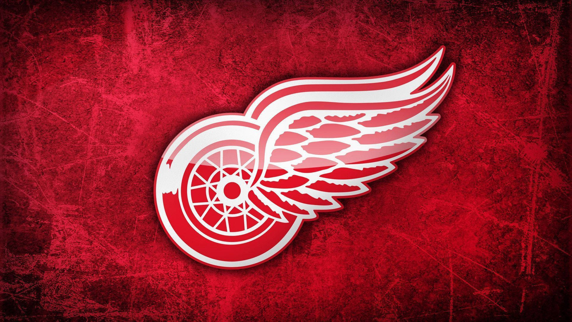 200+] Detroit Red Wings Pictures