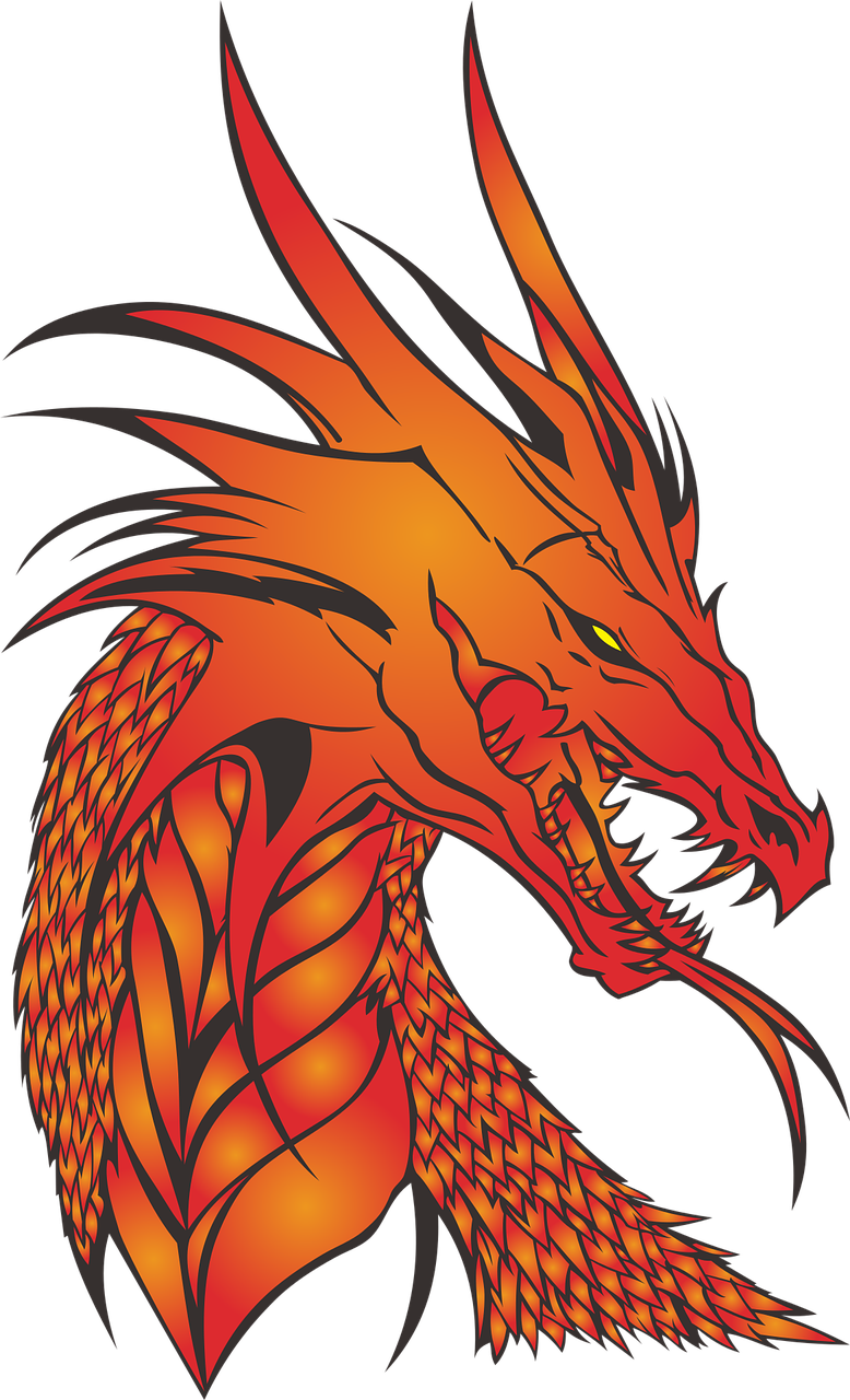 Fiery Dragon Illustration.png PNG