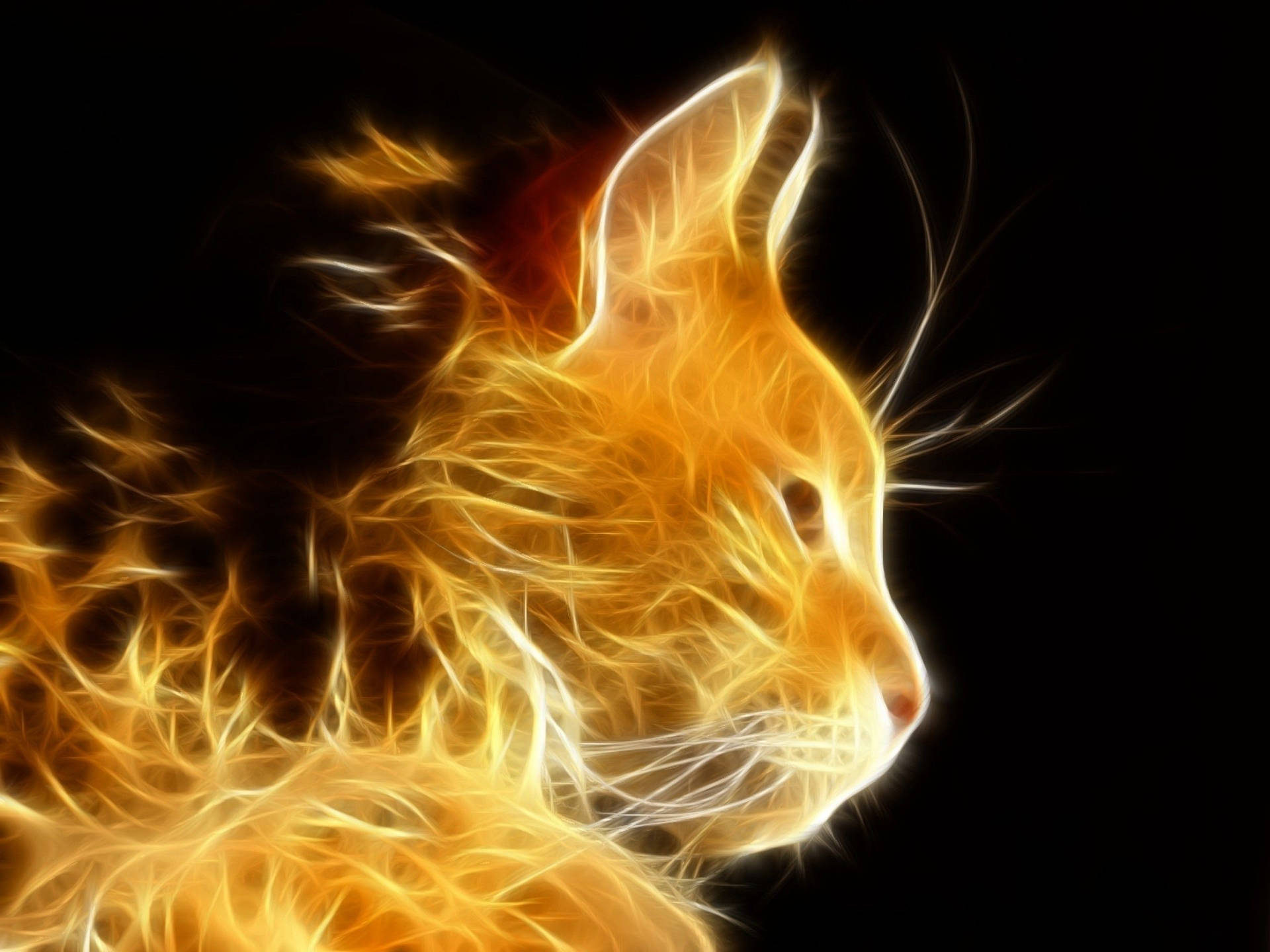 Fiery Glowing Cool Cat Wallpaper