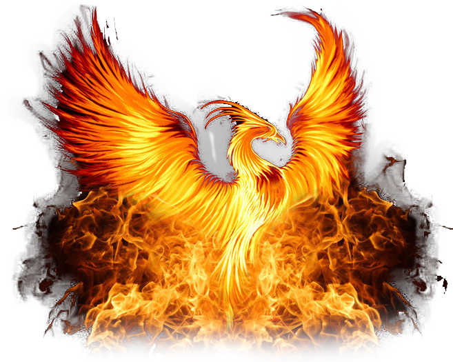 Fiery Phoenix Rising PNG