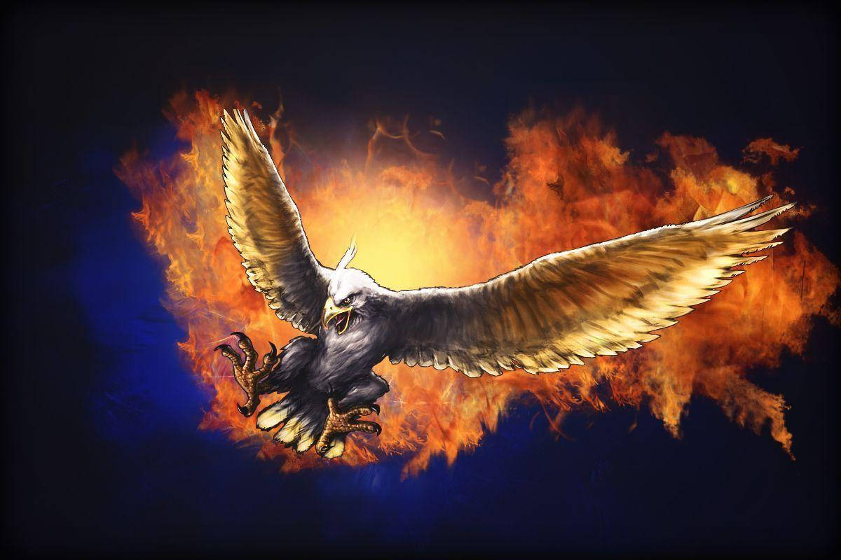 Fiery Us Eagle Wallpaper
