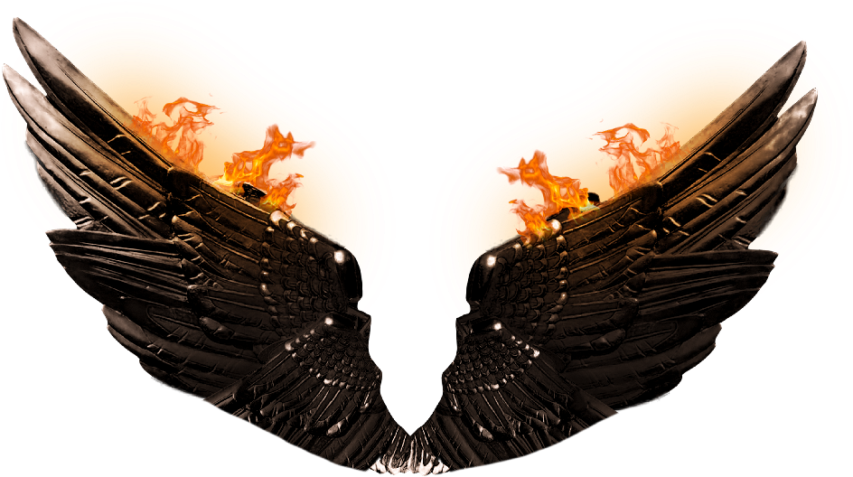 Fiery Wings Artwork PNG