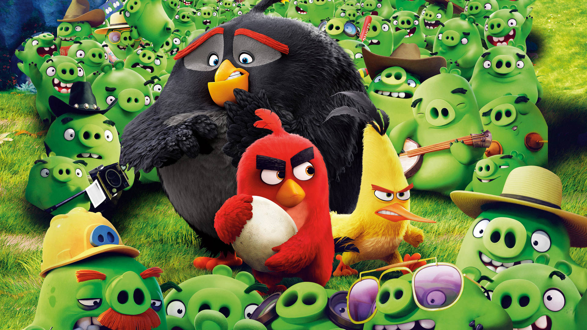 Fight Scene From The Angry Birds Movie Wallpaper