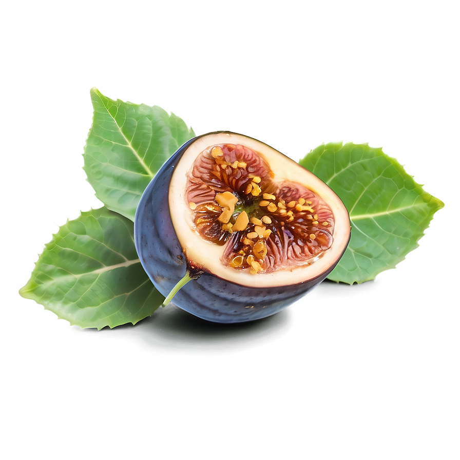 Figs And Honey Png Fhi35 PNG