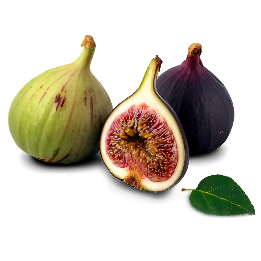 Figs C PNG