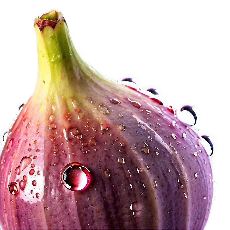 Figs With Drops Of Water Png 06252024 PNG