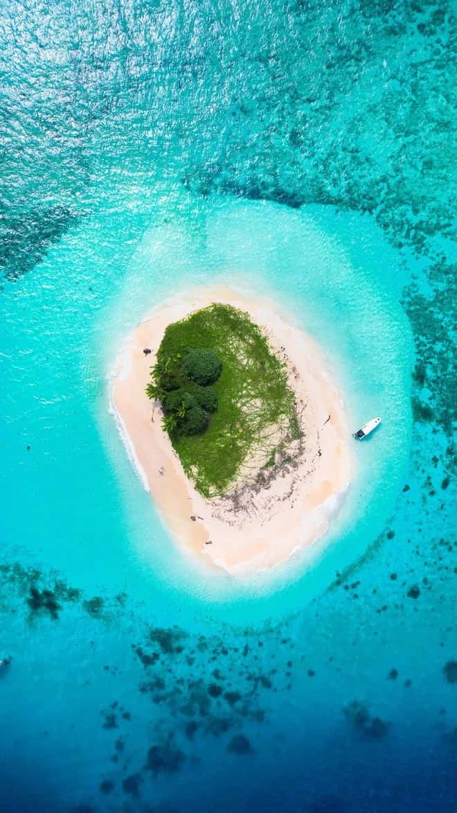 Fijiisland Bild Med Livfullt Blå Färgschema.