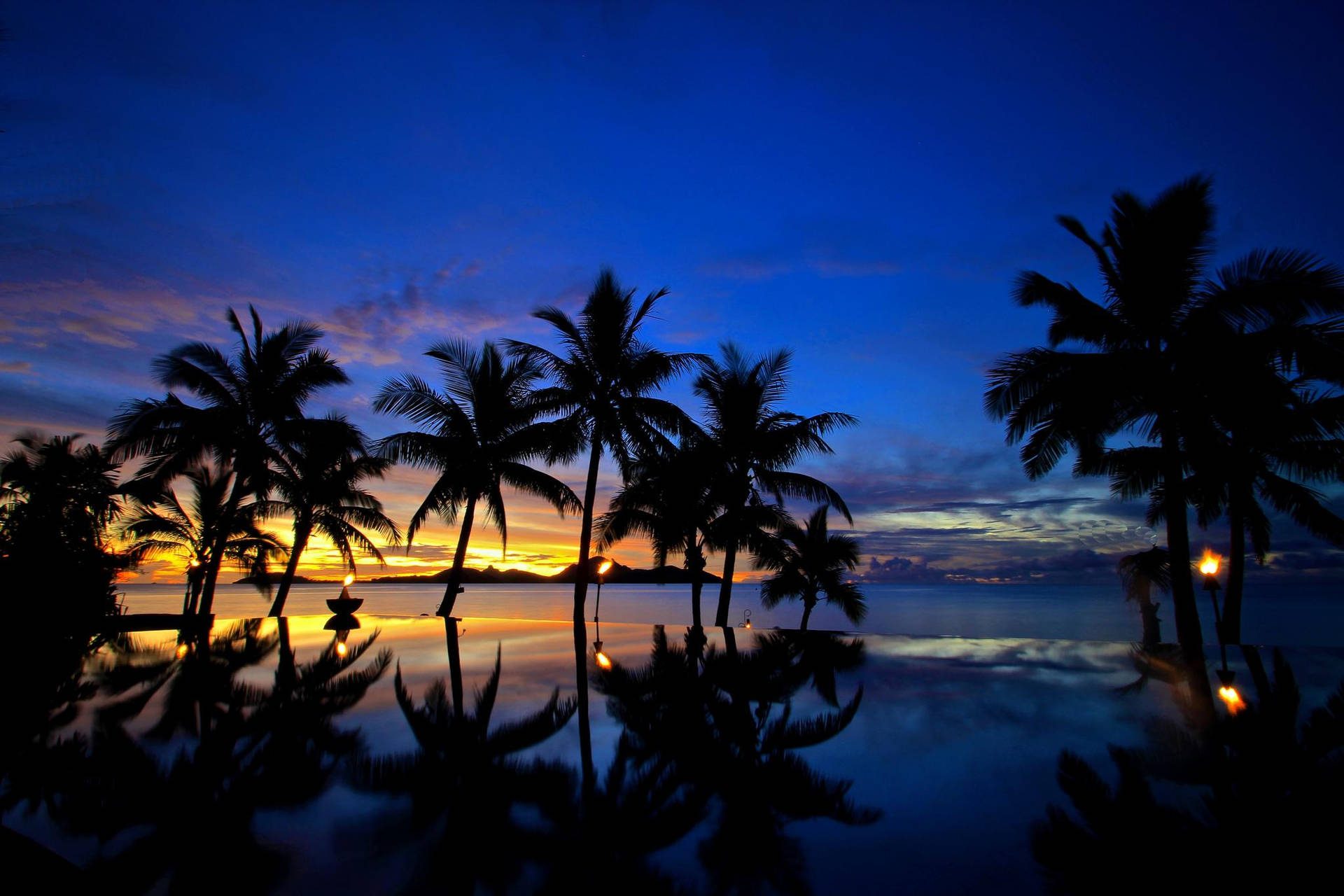 Fiji Palme Træer under Solnedgangen Wallpaper