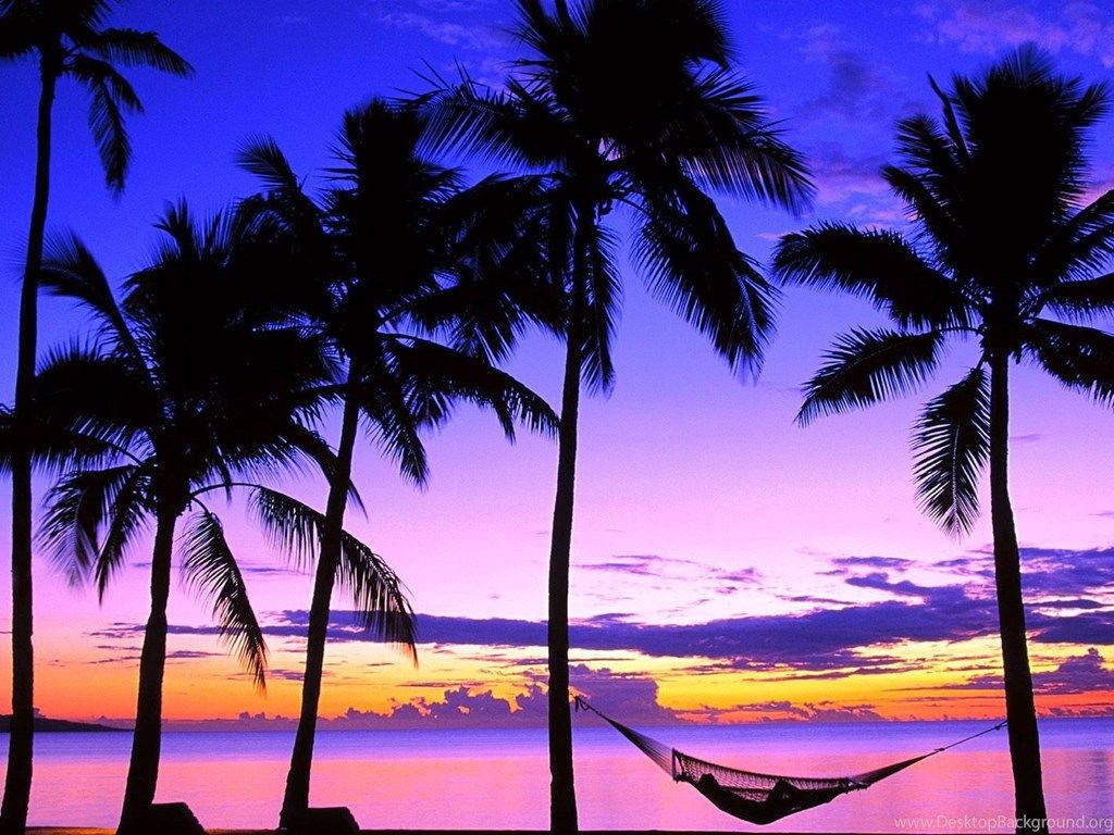 Fiji Purple Sky On Beach Wallpaper