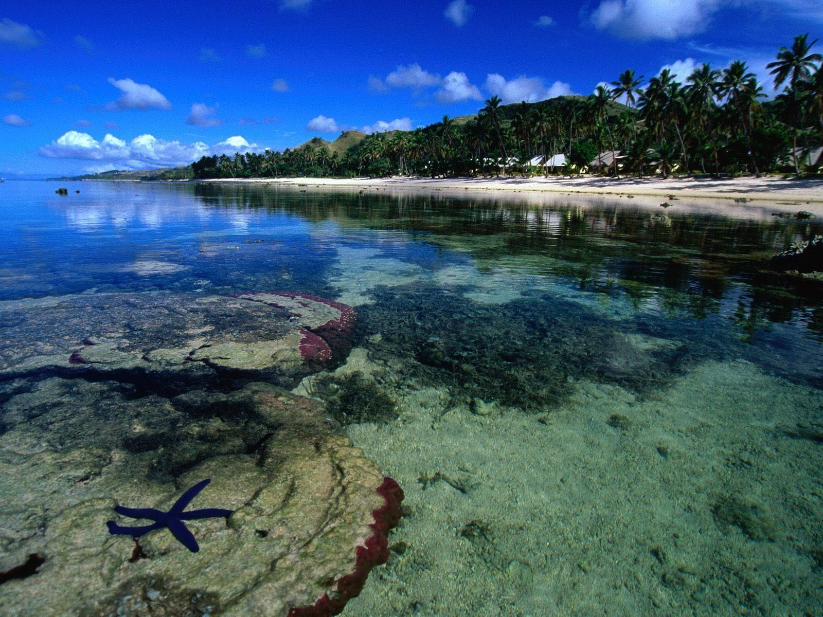 Fiji Seabed Under Clear Waters Wallpaper