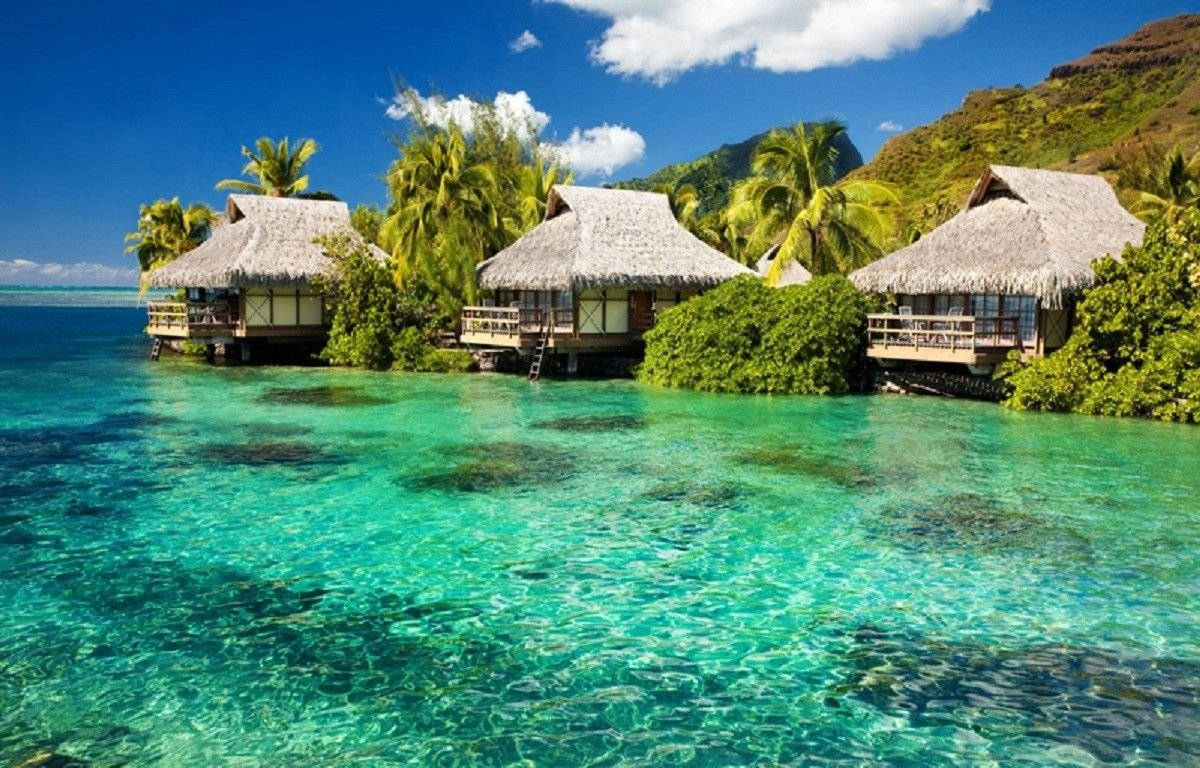 Fiji Tiki Huts By The Sea Wallpaper