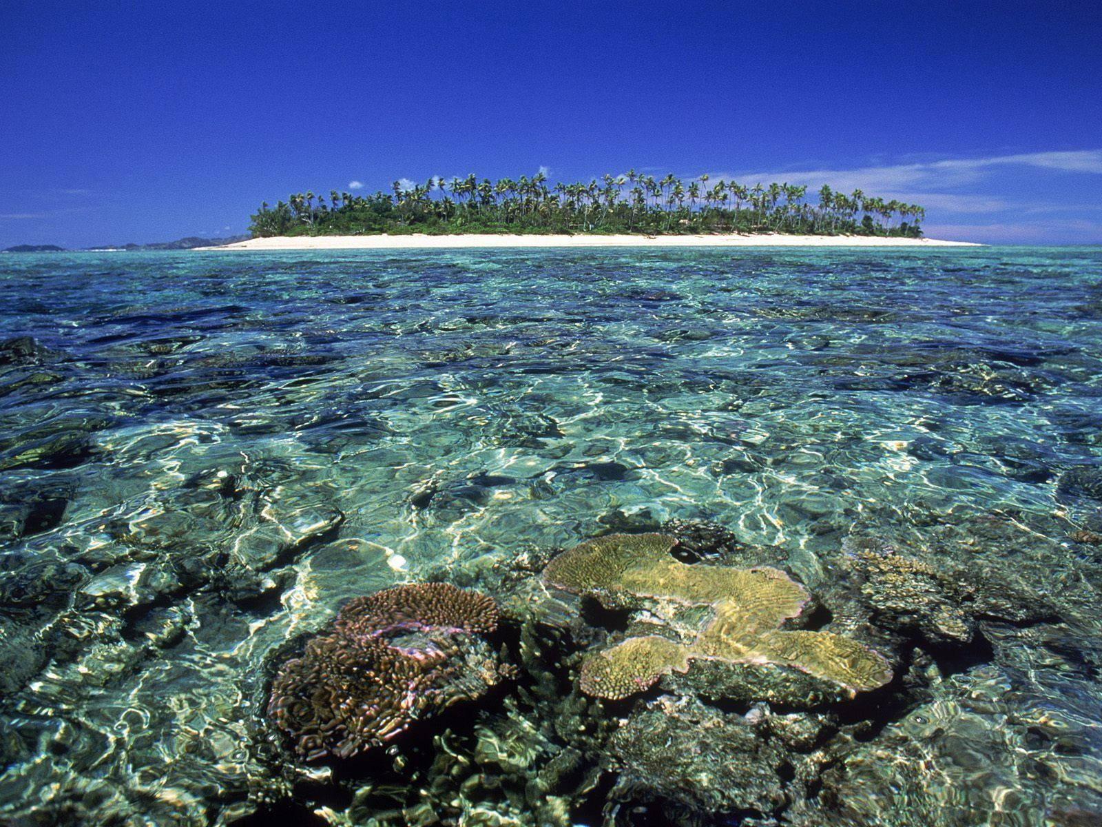 Fidschiunterwasser-korallen Wallpaper