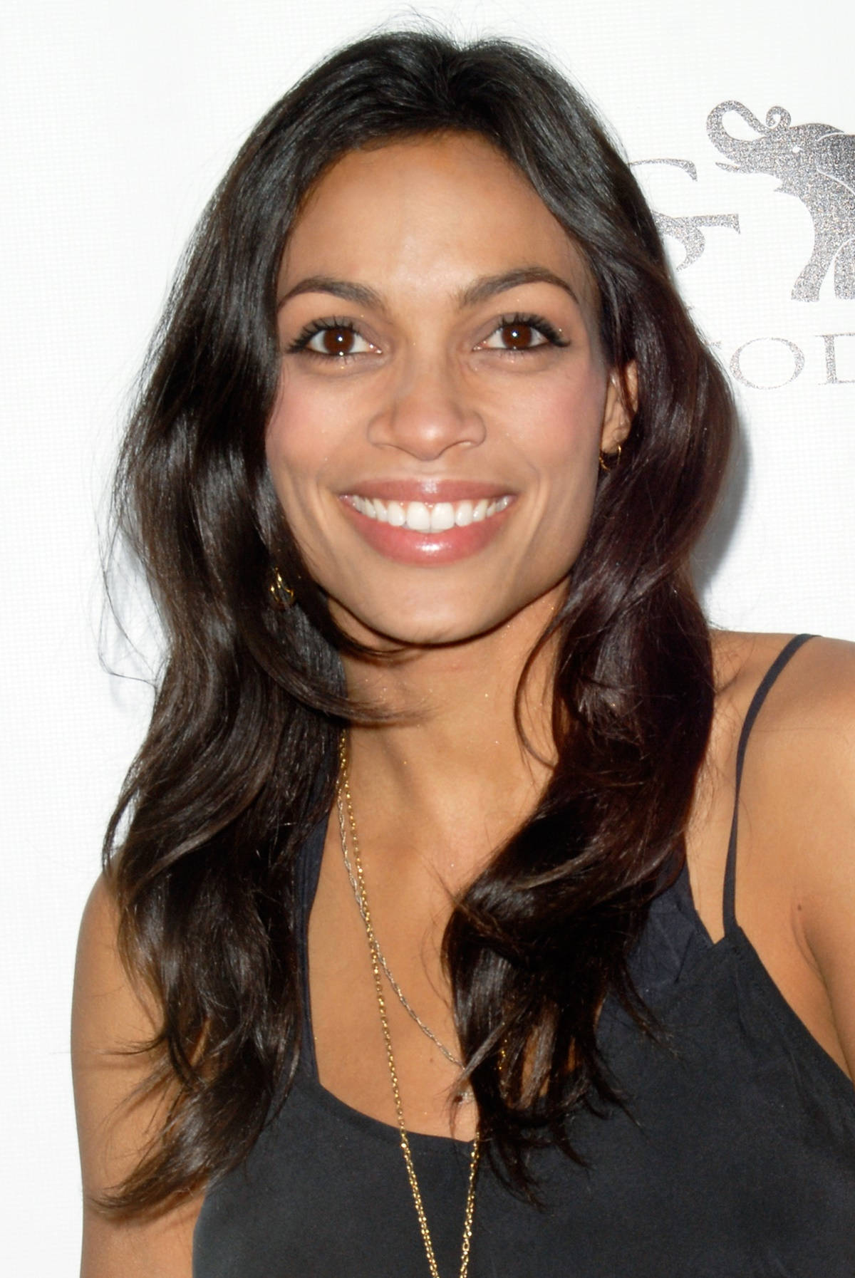 Film Artist Rosario Dawson Wallpaper