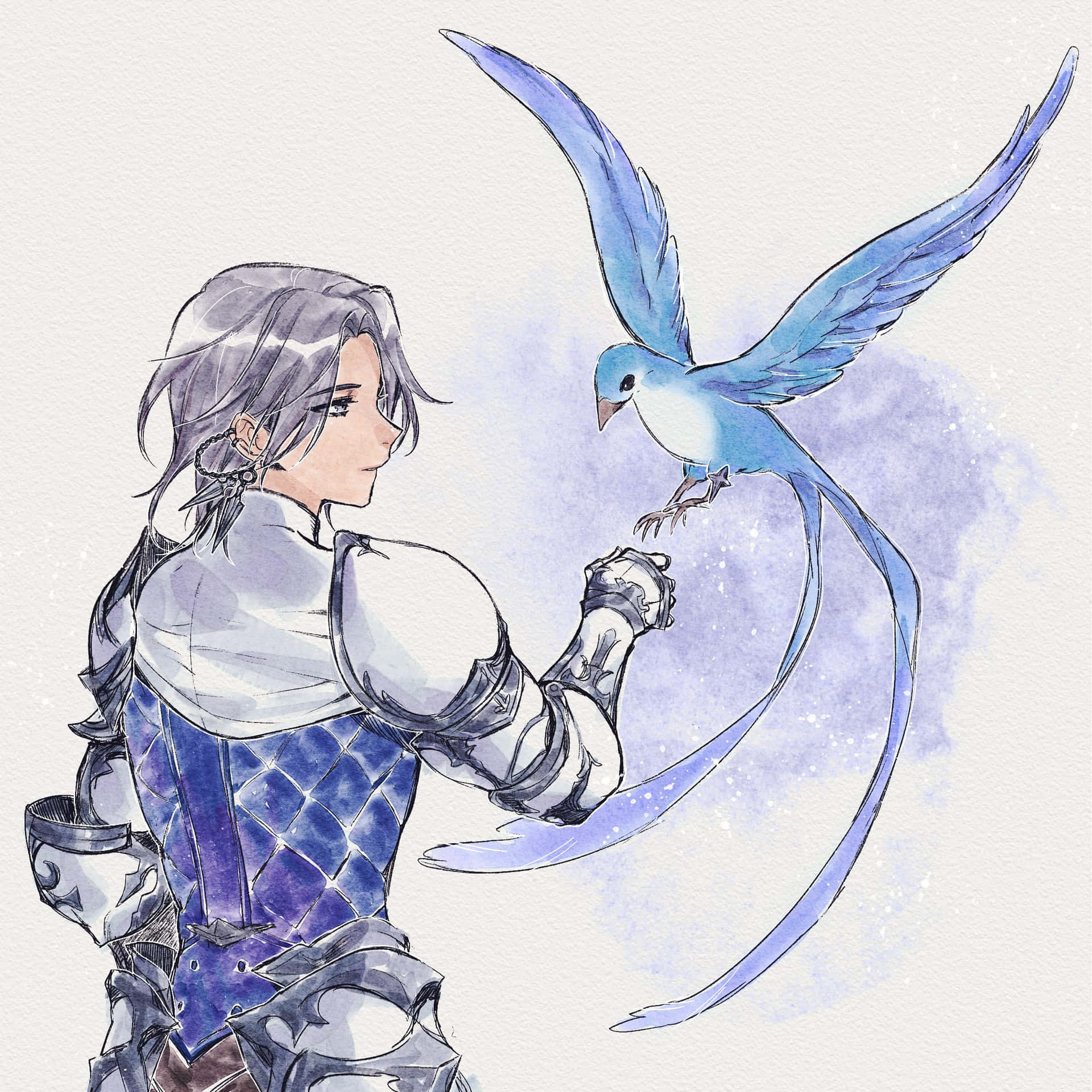 Final Fantasy Paladin En Blauwe Vogel Achtergrond