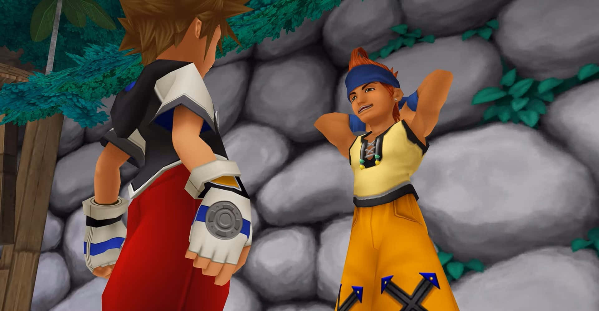 Final Fantasy Wakkaand Sora Conversation Wallpaper