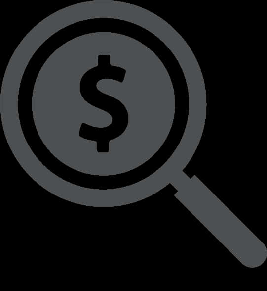 Financial Search Icon PNG