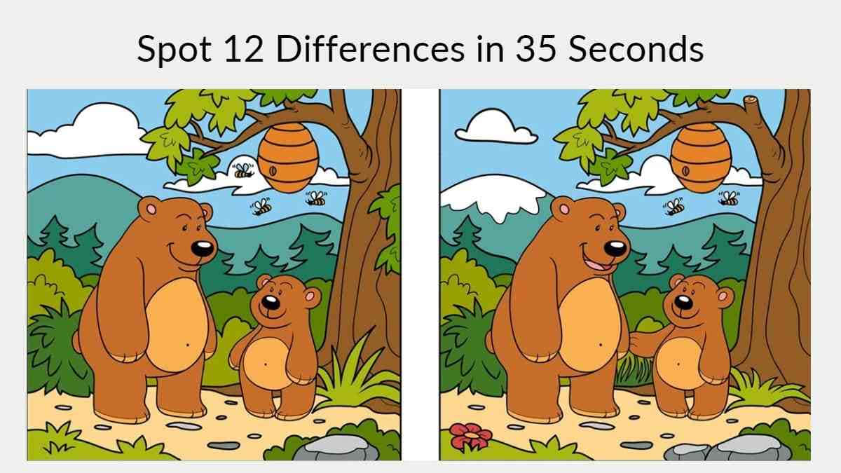 Denne baggrund viser et billede af en bjørn og honning, og man skal finde forskellen.