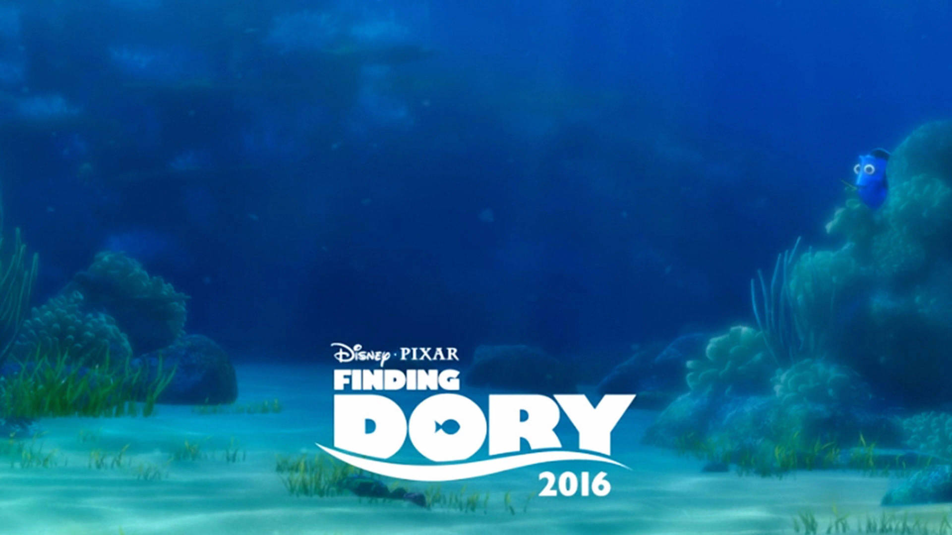 Finding Dory 2016 Movie Wallpaper